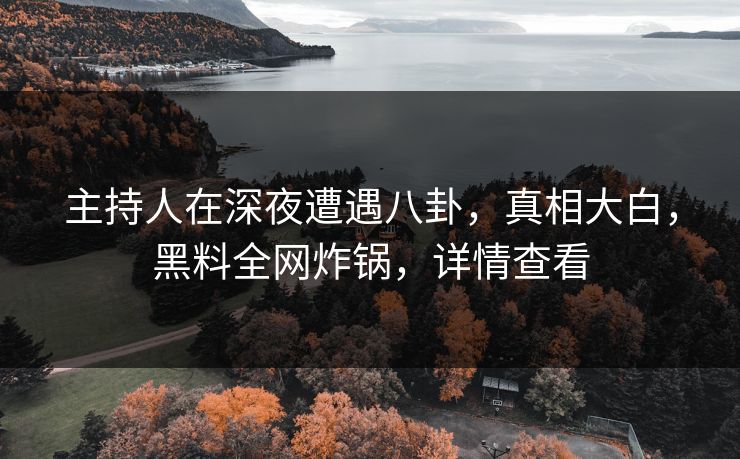 主持人在深夜遭遇八卦，真相大白，黑料全网炸锅，详情查看