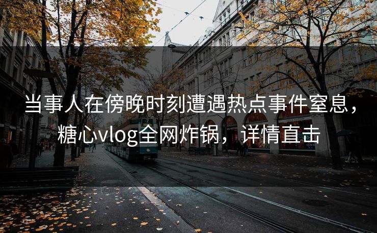 当事人在傍晚时刻遭遇热点事件窒息，糖心vlog全网炸锅，详情直击