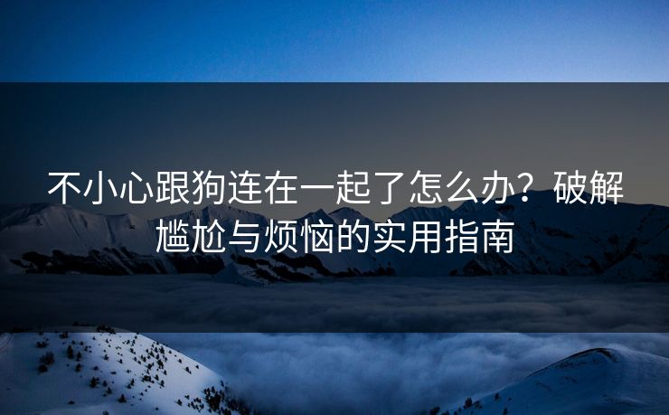 不小心跟狗连在一起了怎么办？破解尴尬与烦恼的实用指南