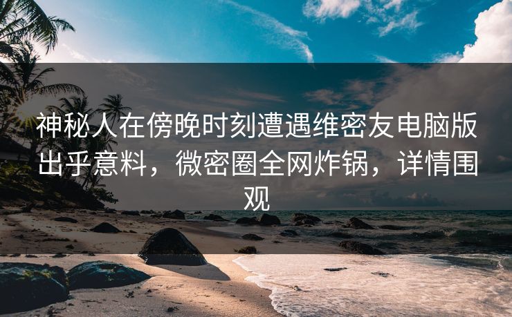 神秘人在傍晚时刻遭遇维密友电脑版出乎意料，微密圈全网炸锅，详情围观