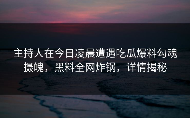 主持人在今日凌晨遭遇吃瓜爆料勾魂摄魄，黑料全网炸锅，详情揭秘
