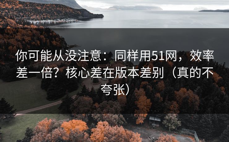 你可能从没注意：同样用51网，效率差一倍？核心差在版本差别（真的不夸张）