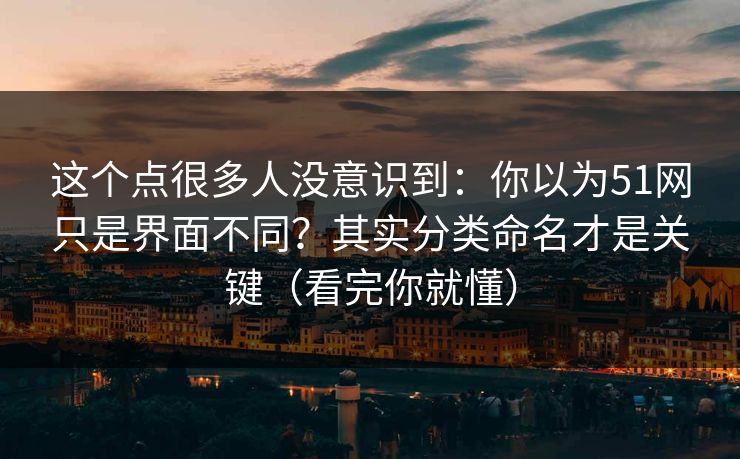 这个点很多人没意识到：你以为51网只是界面不同？其实分类命名才是关键（看完你就懂）